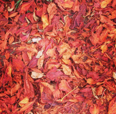 Screenshot_2015-10-17-12-32-47-1