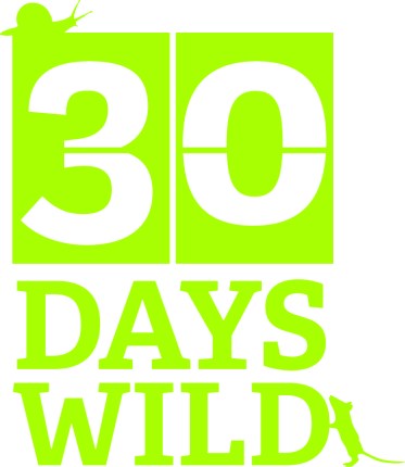 30DAYSWILD_ID2 lightgreen